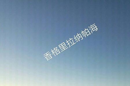 伤心城市背景故事
