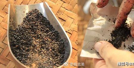 网购芝麻买生的还是熟的好