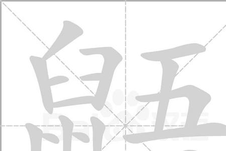 忄加吾念什么
