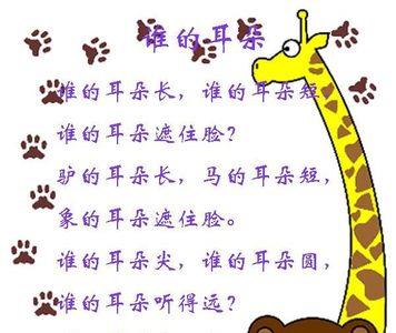 动物园里有什么游戏儿歌