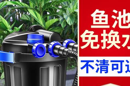 净化水可以养鱼吗