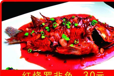 像罗非鱼红色是什么鱼