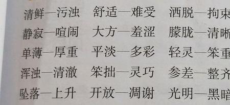 清新和干净是近义词吗