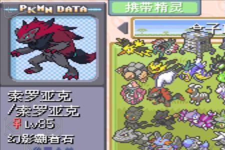 口袋妖怪决心索罗亚几级进化