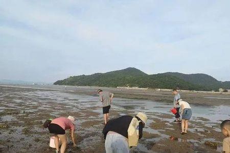 沙扒湾和海陵岛哪个更适合赶海