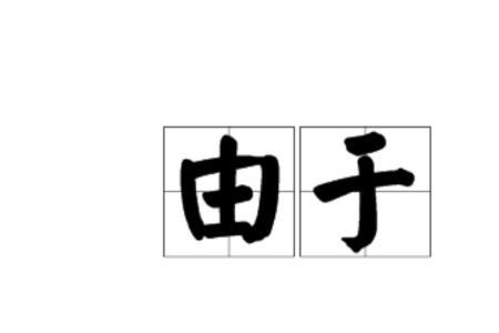 导制的意思