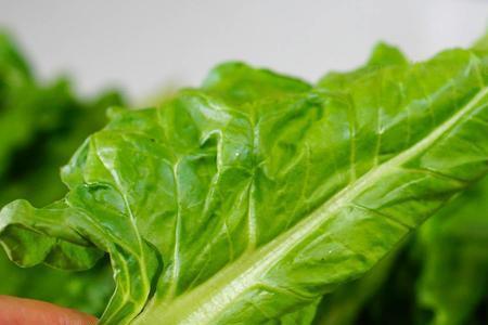 牛皮菜和豆腐可以一起煮吗
