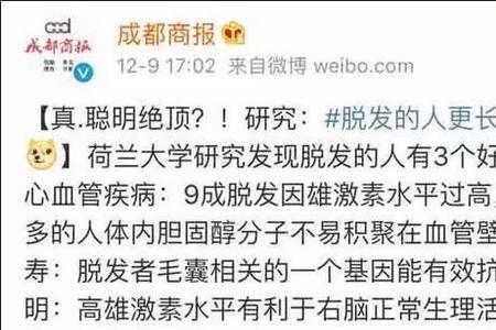 聪明谢顶是什么意思