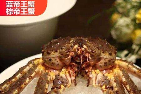 珍宝蟹和松叶蟹哪个贵
