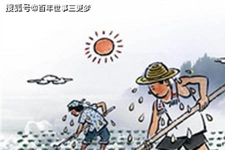 农耕的始祖后稷读后感