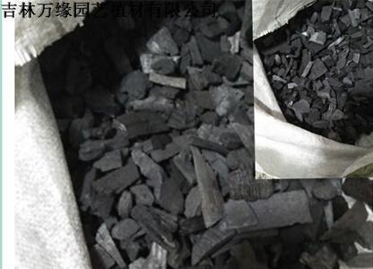 木炭能去异味吗为什么