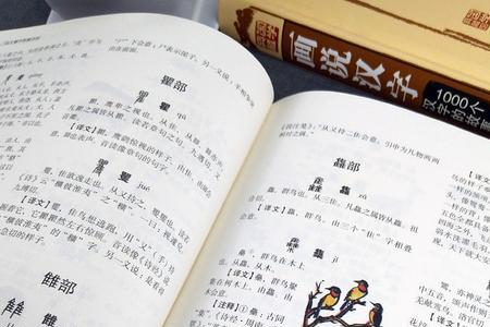 拽文嚼字的意思