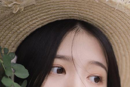 恬静温婉的意思