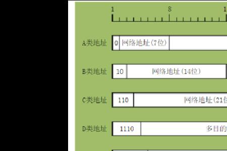 IP什么意思