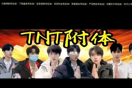 tnt时代少年团粉丝属性
