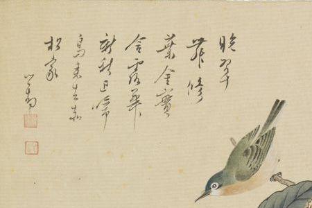枇杷晚翠意思