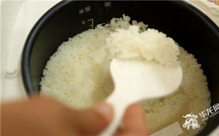 不吃米饭会饿死吗