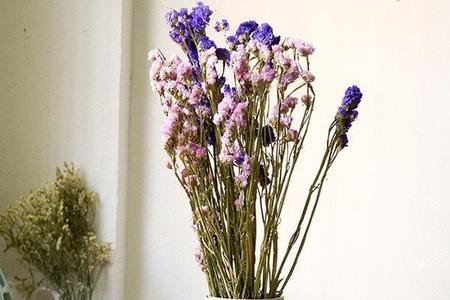 鲜花和干花各自的优缺点|