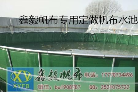 帆布池壁上的褐藻怎么处理