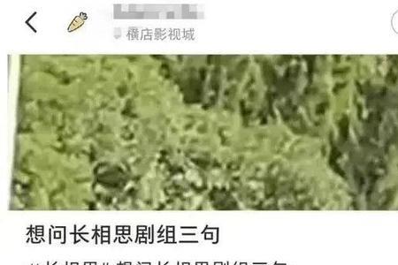长相思为何改名