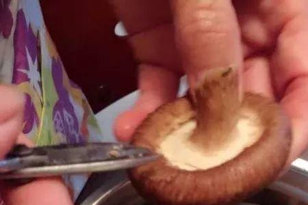 香菇煮成什么样就算熟