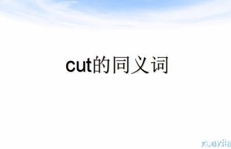 权的同义词