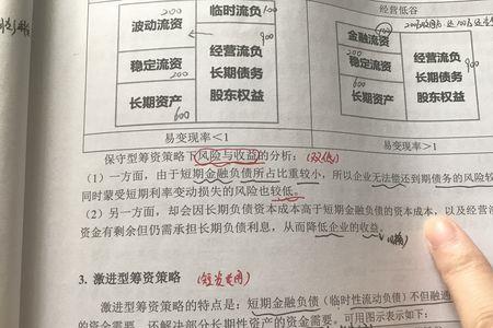 筹资战略的三种类型