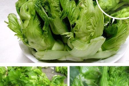 儿菜母和子哪部分好吃