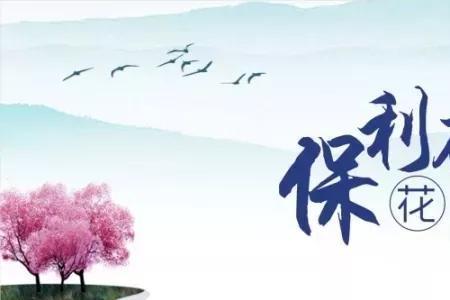 象生花是什么意思