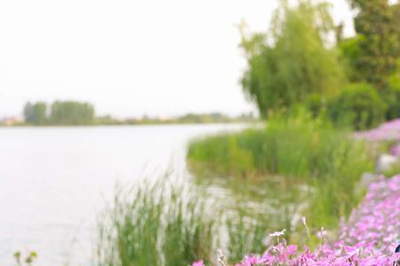 流年芬芳是什么意思