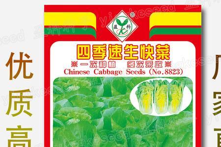 四季速生快菜需要催芽吗
