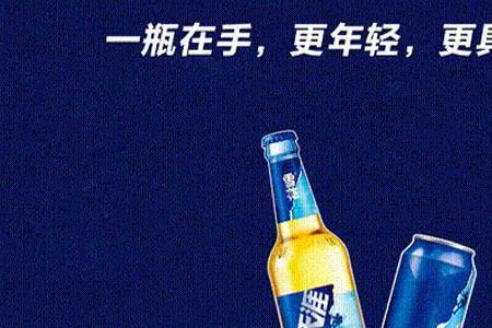 雪花啤酒一听是几瓶