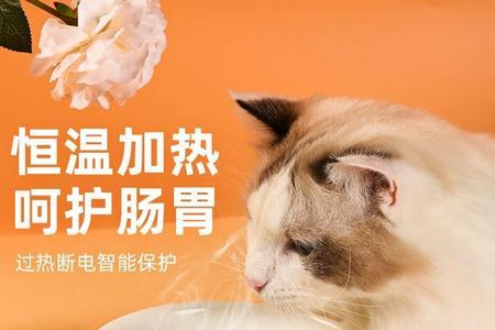 猫咪为啥要用斜碗喝水