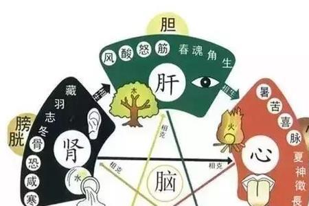 三魂七魄各叫什么名字