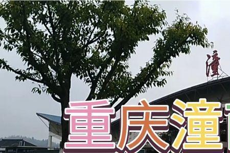 潼南火车站介绍