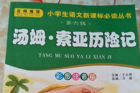汤姆索亚历险记最后凶手结局