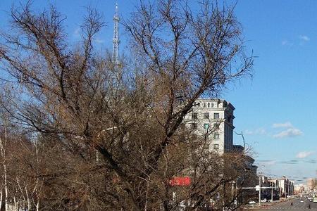 白山市区有延吉市区大吗