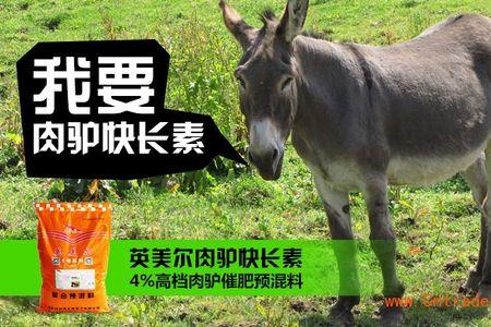 毛驴多长时间下崽