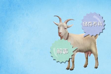 猫吃羊肝的好处