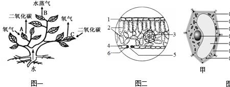 什么的茎叶填空