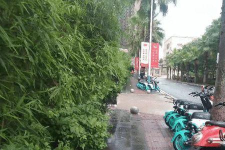 青桔电单车可以超区骑行吗