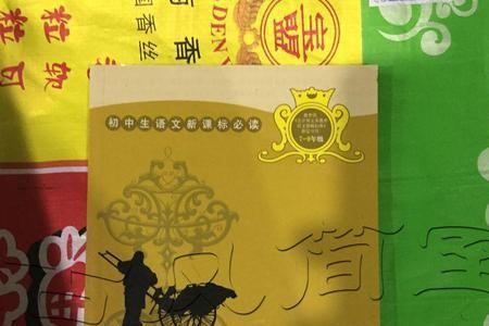 骆驼的样子书作者是谁