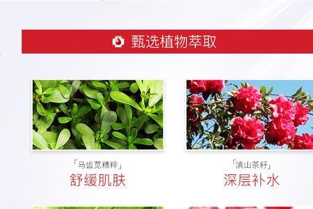 熊果苷面膜是什么用的