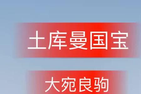大宛良驹指的是什么马