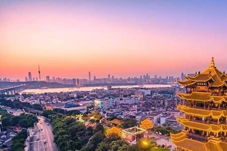 上海市比武汉大多少