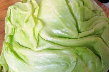 半个包菜够多少人吃