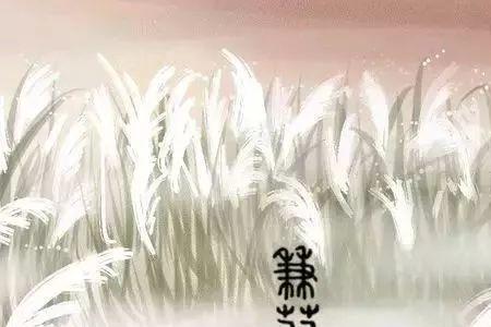 寤寐思之什么意思