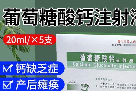 人吃的葡萄糖酸钙狗狗能吃吗