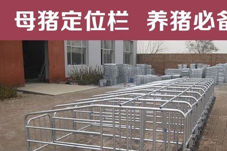 1000头母猪需要多少个限位栏