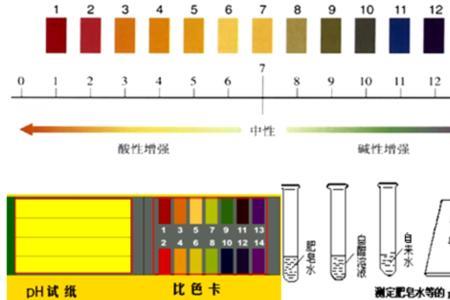陶瓷是碱性还是酸性